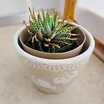 Vistamare 레조디칼라브리아