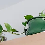 아파트 Vistamare *