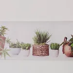 Vistamare 아파트 *