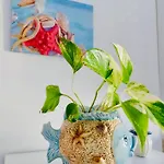 아파트 Vistamare