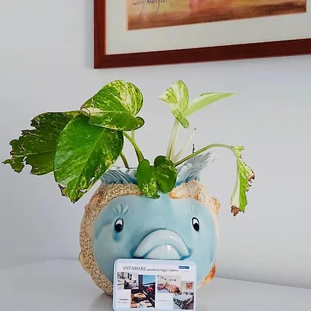 Vistamare Apartamento *