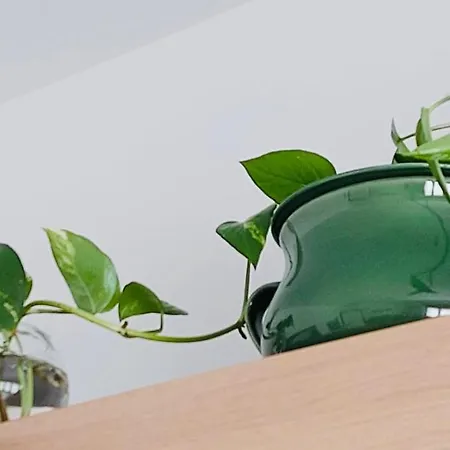 Apartamento Vistamare *