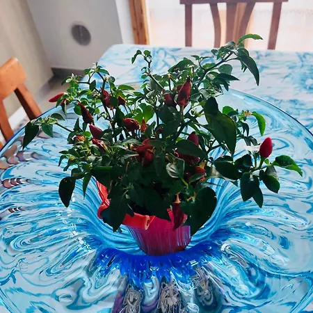 Vistamare Daire Reggio di Calabria