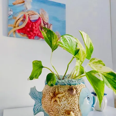 Apartamento Vistamare