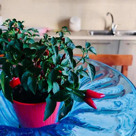 Apartamento Vistamare