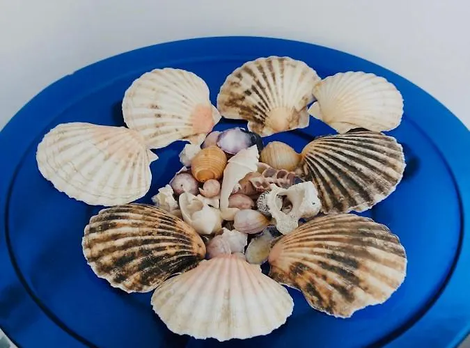 Appartement Vistamare