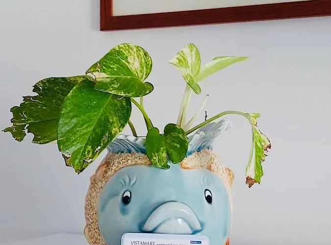 Vistamare Appartement *