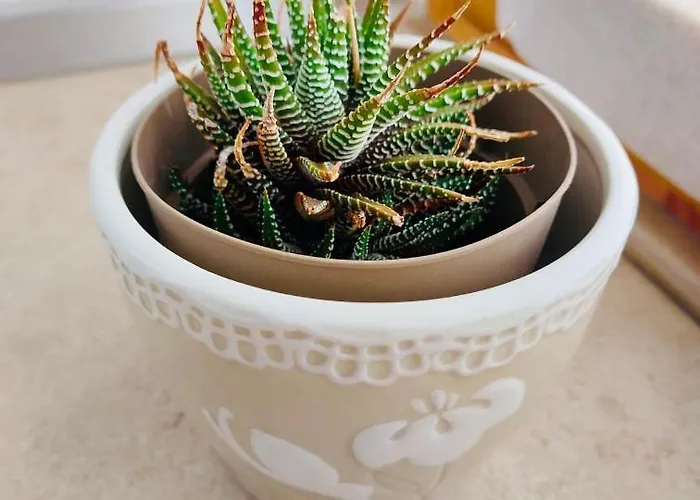 Vistamare Reggio de Calabre