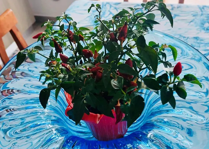 Vistamare Appartamento Reggio Calabria