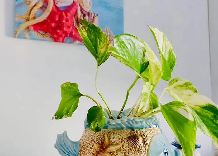 Appartement Vistamare